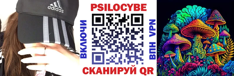 Купить закладки  Нефтекумск  Псилоцибиновые грибы MAGIC MUSHROOMS 